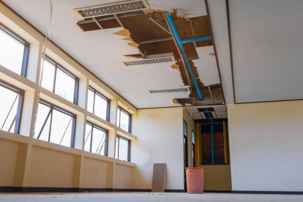 Best Water damage restoration near me  in Sussex, NJ