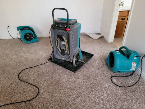 Best Water damage restoration mold remediation  in Sussex, NJ