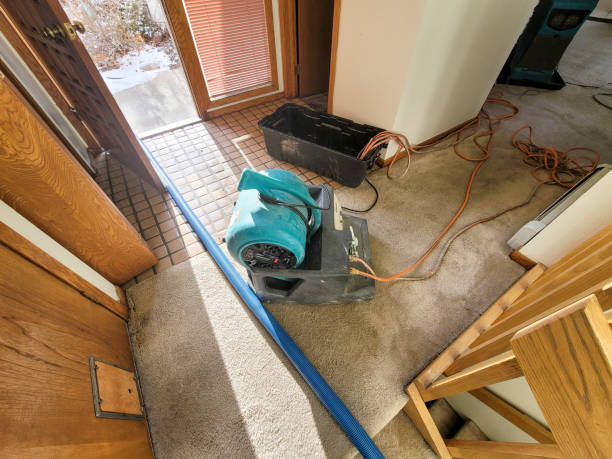 Best Ceiling water damage repair  in Sussex, NJ