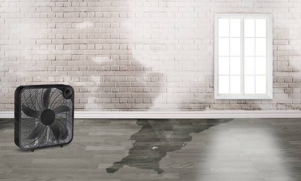 Best Fire Damage Restoration  in Sussex, NJ