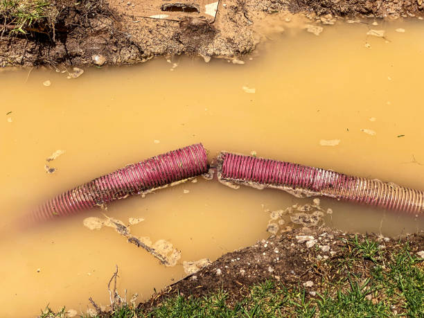 Best Emergency water damage restoration  in Sussex, NJ